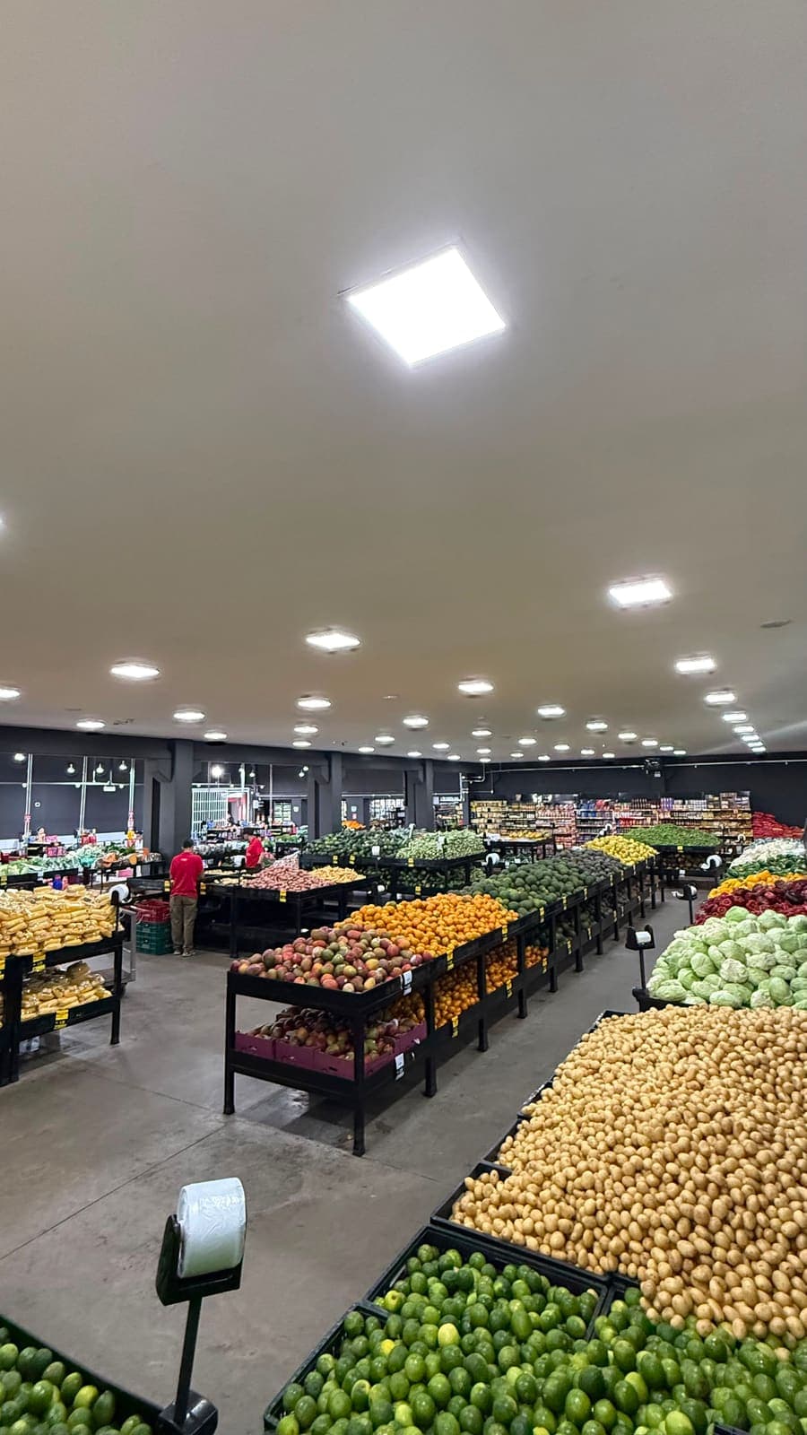 Salão do hortifruti com as bancas cheias de frutas, legumes e verduras